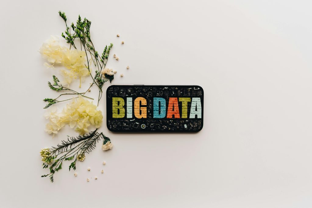 A smartphone with a 'Big Data' screen and floral arrangement on a minimalist background.